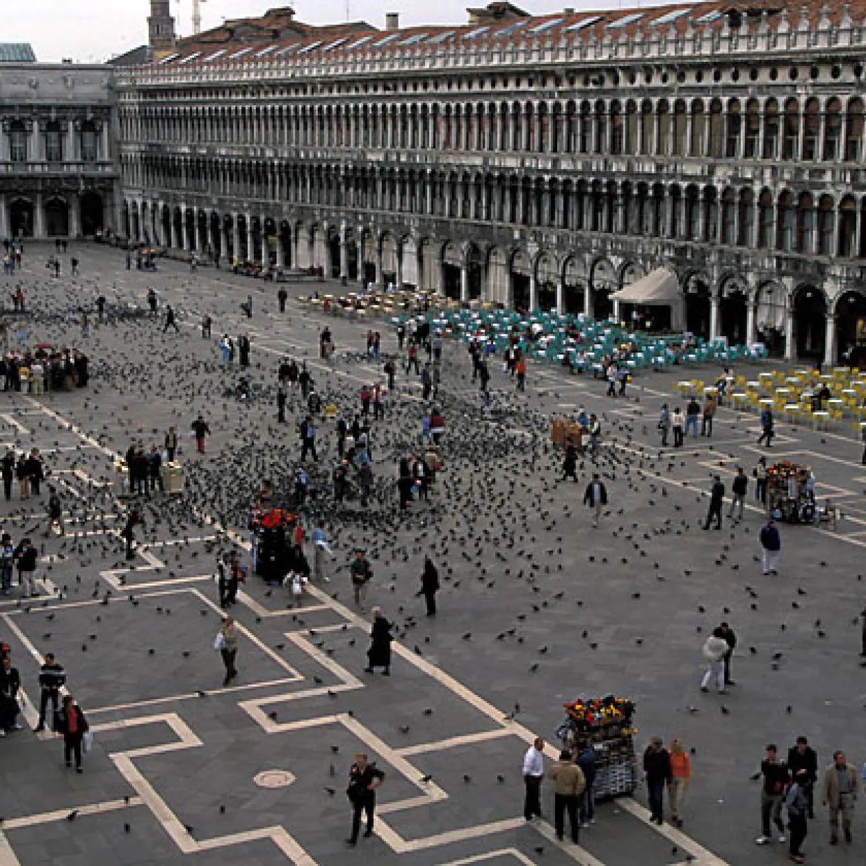 Masegni in Trachite in piazza San Marco a Venezia