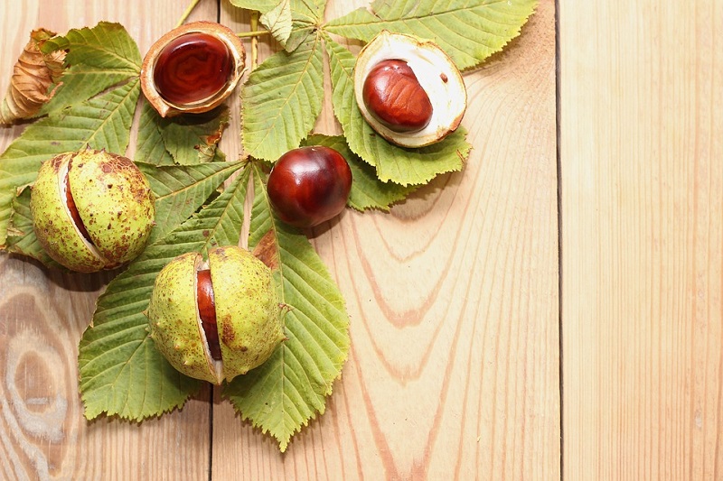 pavimento in legno di castagno parquet in Veneto