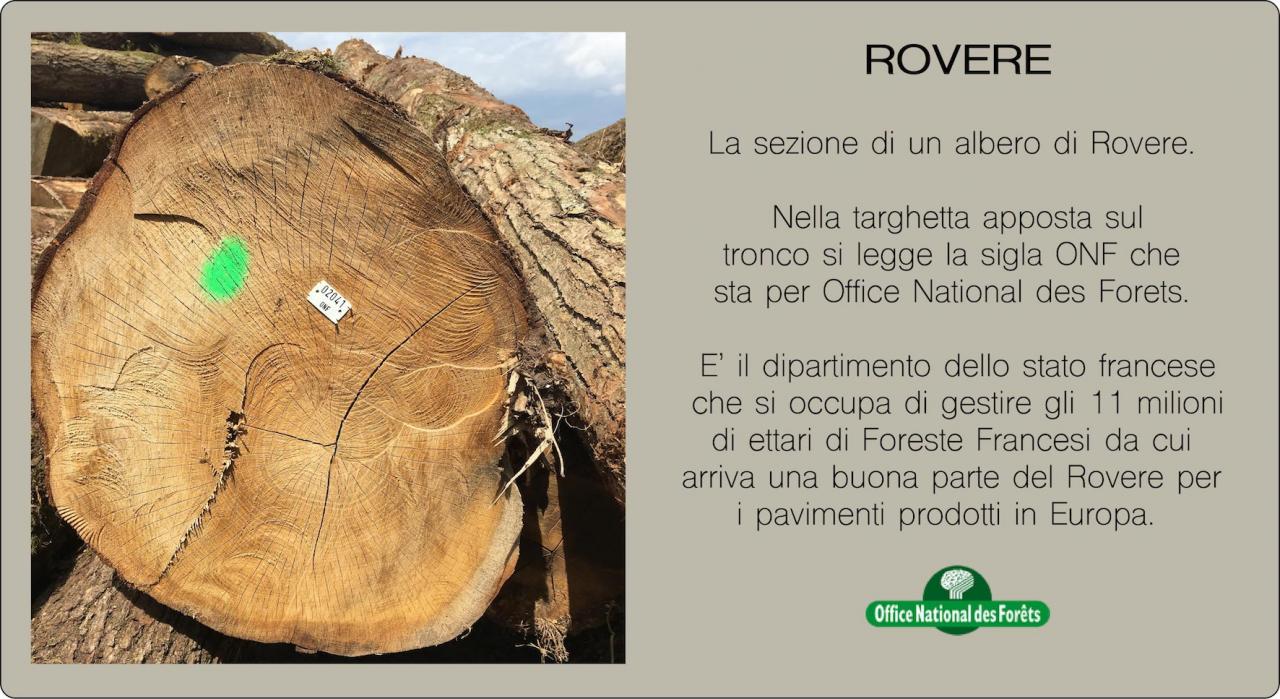 Parquet rovere a Vicenza, il tronco