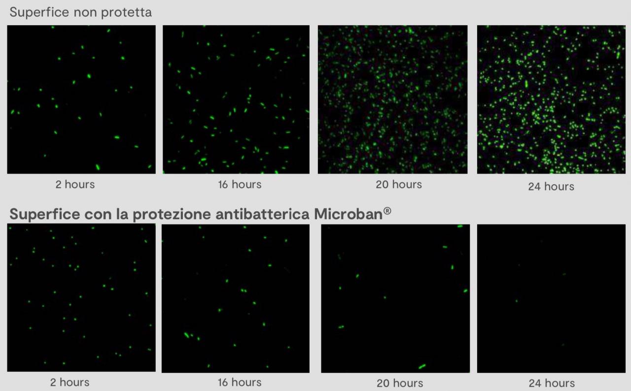 Piastrelle antibatteriche