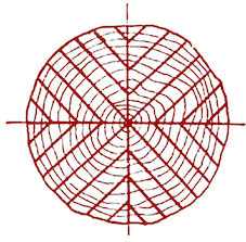 taglio tavole parquet radiale