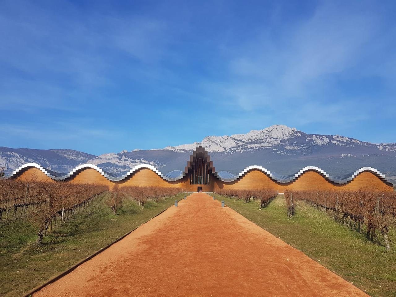 Moderna Cantina Vinicola in Spagna