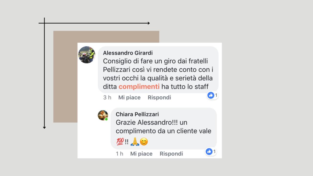 Recensioni Fratelli Pellizzari