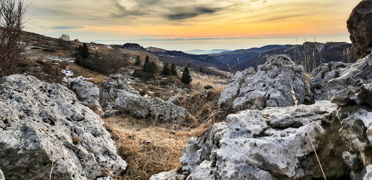 La pietra affiora dalle colline della Lessinia