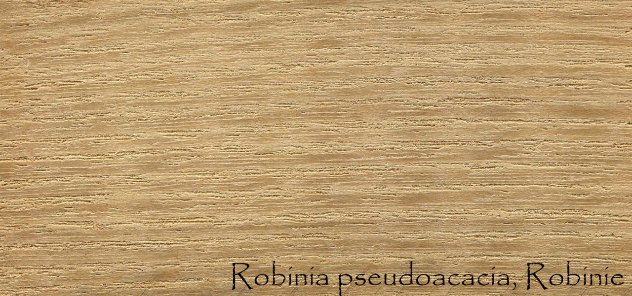 Legno di Robinia